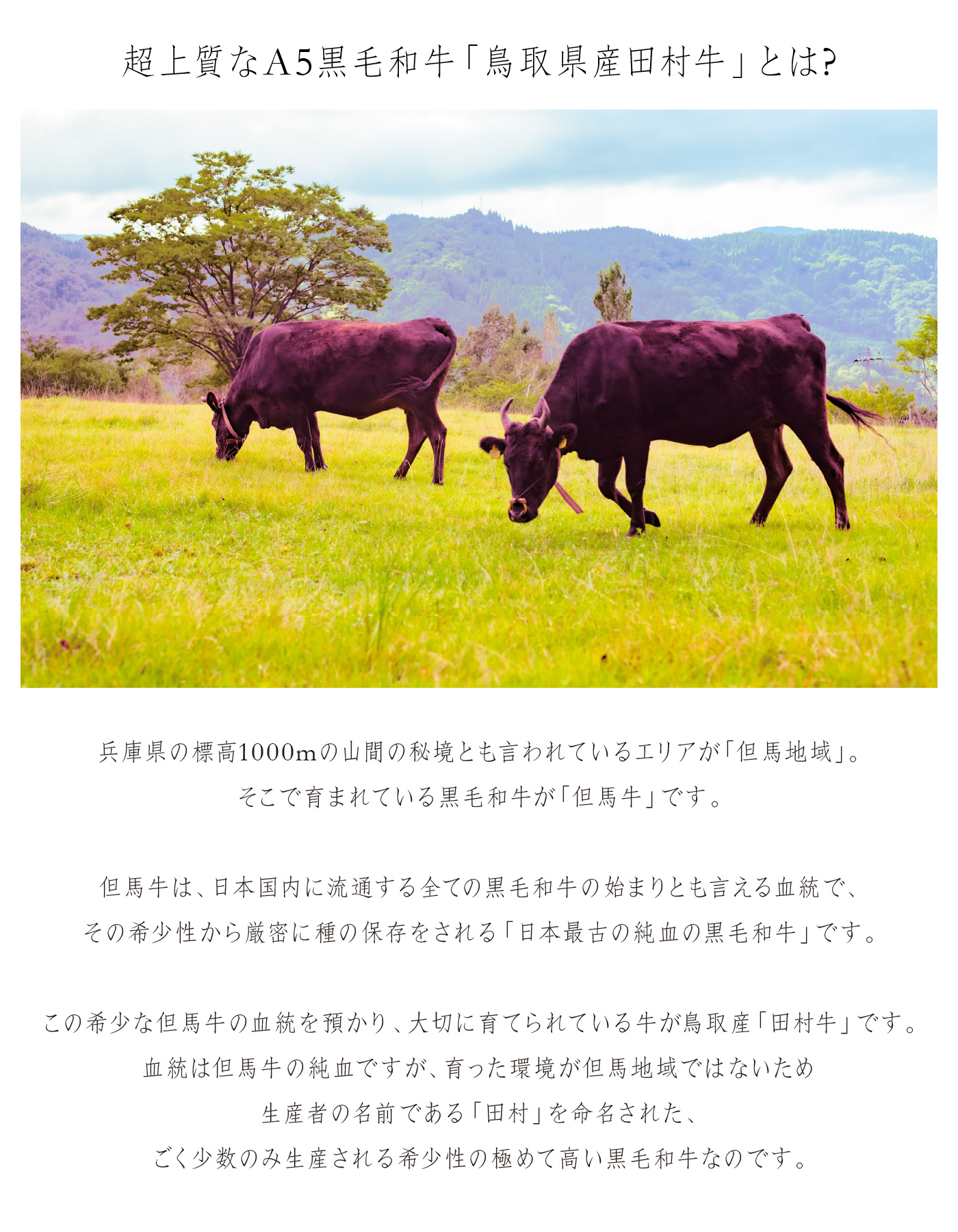 北大路からのご案内